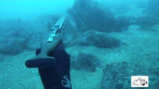 Pesca Submarina: Diciembre