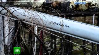 Самолет-призрак Ан-2 найден,спустя год