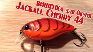 Видеообзор воблера Jackall Cherry 44 по заказу Fmagazin