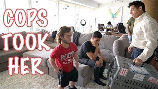 DWARF MAMBA LOST HIS DOG FOR ANIMAL ABUSE !!!