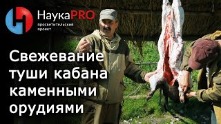Древние технологии - Свежевание и разъёмка туши кабана каменными  и бронзовыми орудиями