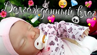 VLOG с Брианой и Хлоей / 2 дня