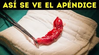 25 cosas alucinantes que nunca habías visto