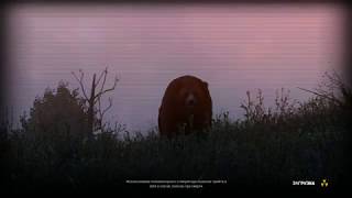 Stalker Online | квест Вперёд и вверх или назад и вниз. Обучалка от Валеры,  для новЕчков 2019