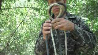 Узел Ципелин один из древнейших морских узлов.