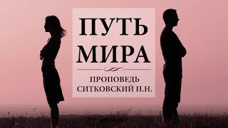 Путь мира - Ситковский П. Проповедь МСЦ ЕХБ 2020 г.  Проповеди МСЦ ЕХБ