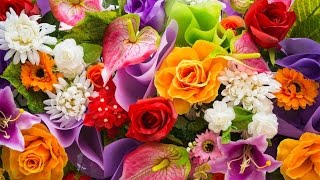 Цветы. Опытом делятся профессионалы часть 1