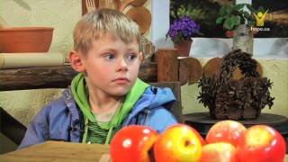 Ігри на телефоні | В гостях у Добрячка