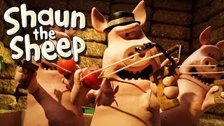 Turf Wars - Shaun the Sheep (Series 5)