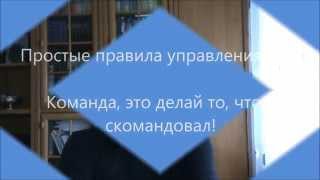 Филин Сергей. Команда, это делай то, что я скомандовал.