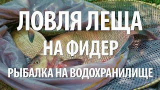 ФИДЕРНАЯ ЛОВЛЯ ЛЕЩА, ГУСТЕРЫ, ПОДЛЕЩИКА на ВОДОХРАНИЛИЩЕ. ЛЕТНЯЯ РЫБАЛКА на ФИДЕР с НОРМУНДОМ