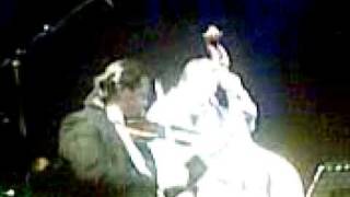 Roman Janoska-violin,Georg Breinschmid&Diknu Schneeberger