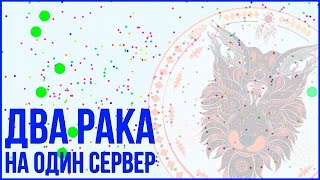 PetriDish.pw | Чашка Петри | Petri Dish | Agario | Agar.io | MegaSplit #1. Night team