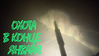 Подводная охота - Охота в конце января