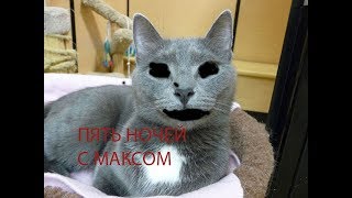 Пять ночей с Максом. 2 ночь, Появился генератор!!!