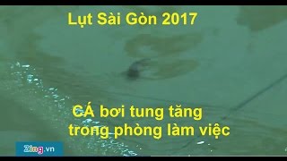 Mưa lớn SÀI GÒN thất thủ, cá bơi tung tăng trong phòng làm việc