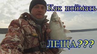 ловля леща зимой / как поймать леща