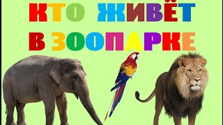 Кто живёт в зоопарке. Изучаем животных. Развивающее видео для детей