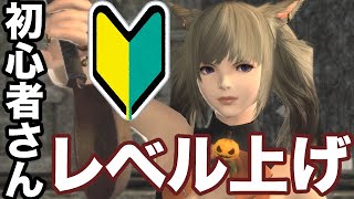 【FF14】初心者さん向けイシュガルド復興で高速レベリング！錬金術師を優先してカンストする理由
