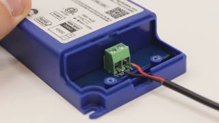 Magnitude LinDrive 12V 40W Dimmable LED Transformer | Inspired LED