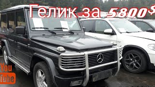 РАСПРОДАЖА конфискованных АВТО.  МИНСК( новые поступления 2.11.2018)