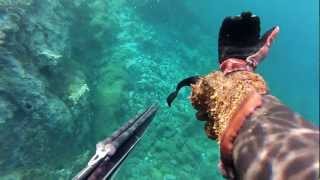 Octopus / Χταπόδι Μάνη
