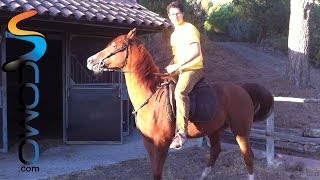 Cómo subir al caballo