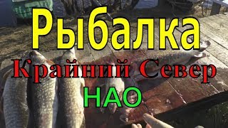 Рыбалка на Крайнем Севере.  НАО
