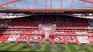 Hino do Sport Lisboa e Benfica - Rumo ao 34