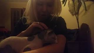 ASMR talking with Cat. АСМР С КОТОМ. ЛАСКОВЫЕ СЛОВА