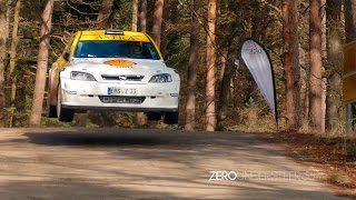 Rallye Südliche Weinstraße 2017 | Jumps, crash & pure sound