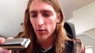 HOW TO PLAY CALDONIA WILL WILDE HARMONICA LESSON