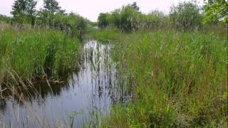 De Plateaux-Hageven