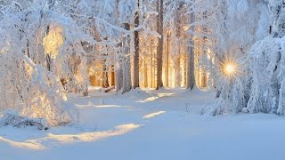 Релакс. Зимние пейзажи и красивая музыка.