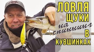 Ловля щуки на спиннинг в кувшинках