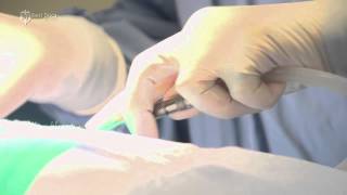Dr. Robert True Best Docs Network  Labiaplasty and Vaginal Rejuvenation