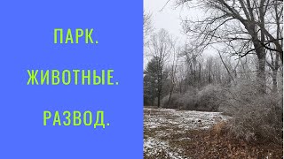 #11 ВИДЕО НИ О ЧЕМ? ПАРК. ЖИВОТНЫЕ. РАЗВОД.