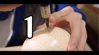 [En sub/rus] Создание гомункула(страусиное яйцо) , (ч.1) / How to create homunculus(ostrich egg)