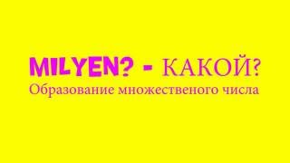 Венгерский язык Урок 20 - "Milyen и множественное число?"