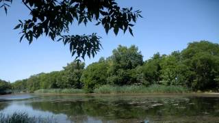 Килия.  В городском парке - 23.05.2015