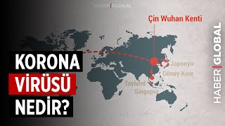 Corona (Korona) Virüsü Nedir? Belirtileri Nelerdir?