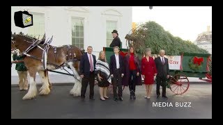 Melania Trump Receives the White House Christmas Tree 11/20/17