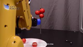 Soft Robotics Automation: Fresh Produce