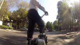 Maxi Roller en Polanco