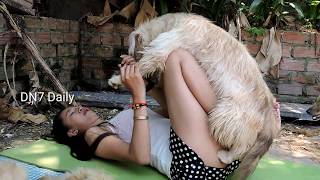 Fantastic! Beautiful Girl Give Food and Play with Funny Dog Lovely Dog Present part2