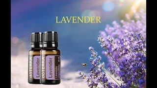 Olejek Lavender firmy doTERRA