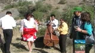 Arpa y violín ( LLauyicha de Canua ) - AJICITO AMARGO