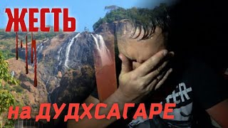 ГОА. Водопад Дудхсагар. Чуть не пропали в джунглях.