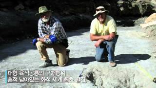 육식 공룡 '구애행위' 화석 세계 최초 발견?!