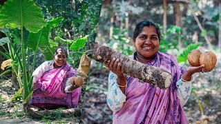 Giant Taro Cooking Recipe by Village Food Life